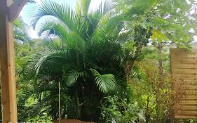 Villa tropicale charmant T2 dans un cadre verdoyant